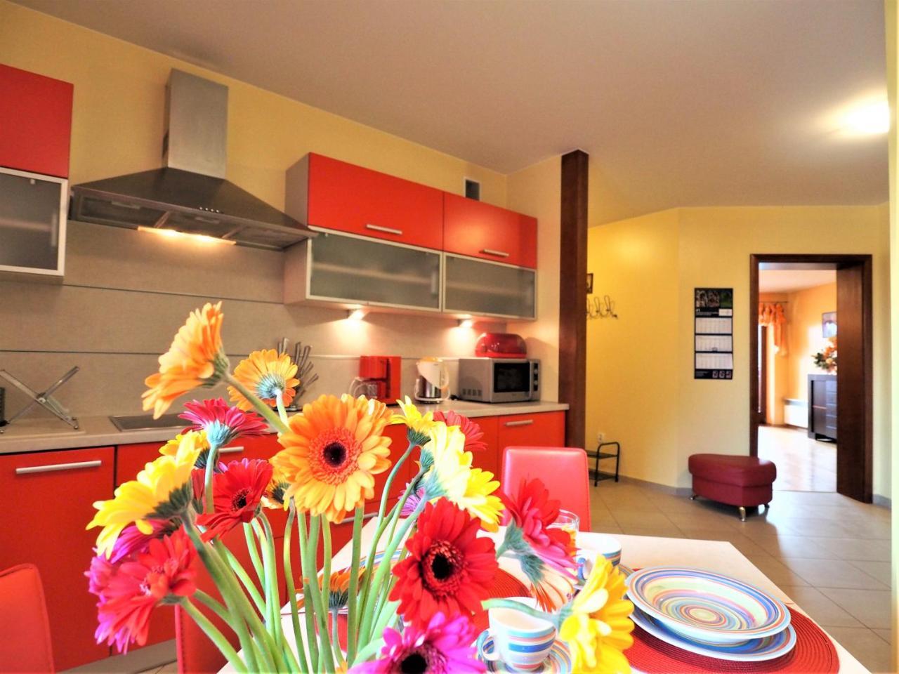 Апартаменти Apartament Widokowy Maki Закопане Екстер'єр фото